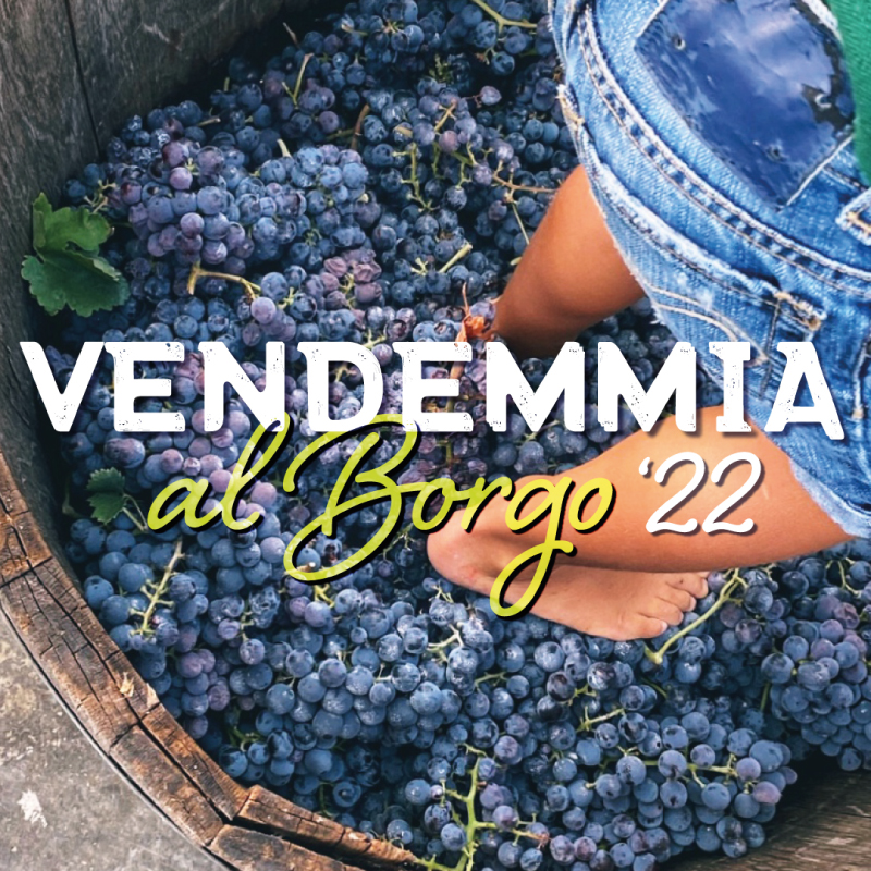Vendemmia al Borgo